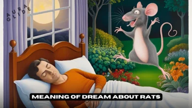 Rats in Dream