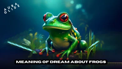 Dreams About Frogs