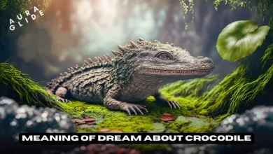 Dream About Crocodile