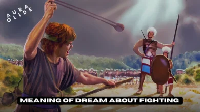 Dream About Fighting