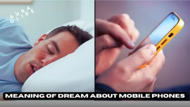 Dream About Mobile Phones