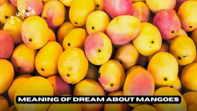 Dream About Mangoes
