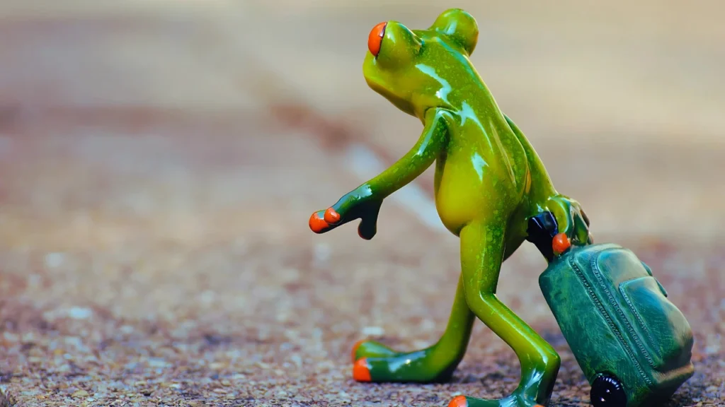 Frog Walking