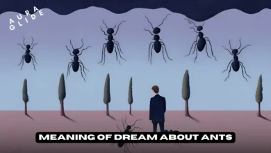 Dreams About Ants