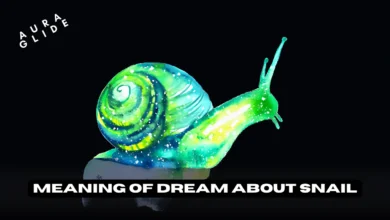 Dreams About Snails