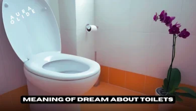 Dream About A Toilet