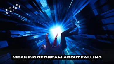 Dreams About Falling