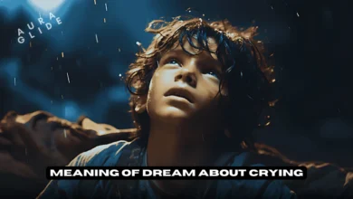 Crying In A Dream