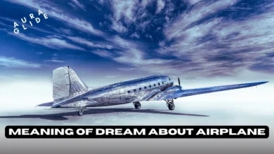 Dreams About Airplanes