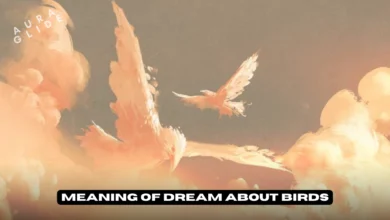 Dream About Birds
