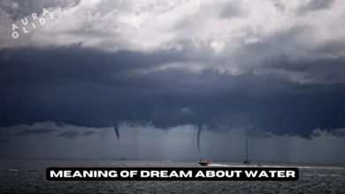 Dream About Water