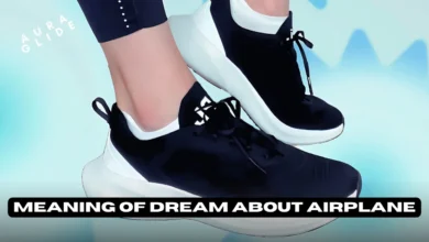 Shoes in Dream