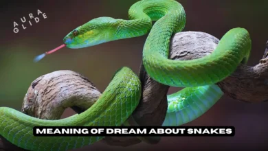 Dreams About Snakes