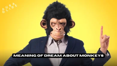 Dream About Monkeys