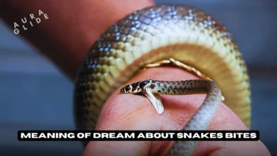Dream About A Snake Bite
