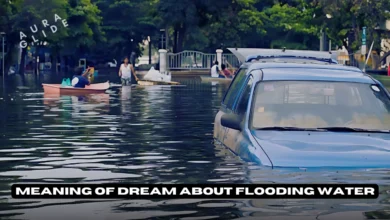 Dream About Flooding Water