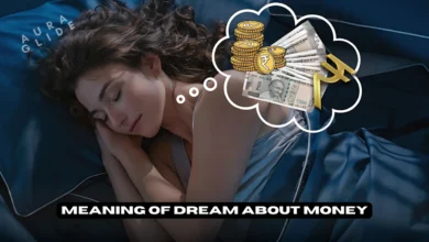 Dream About Money