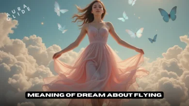 flying dream