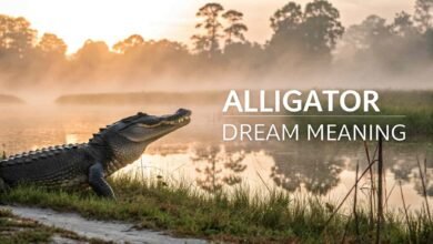 Alligator Dream Meaning