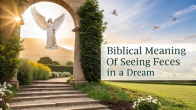 Biblical Meaning of Seeing Feces in a Dream