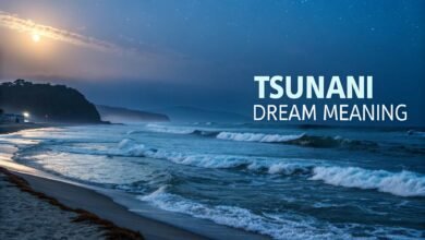 Tsunami Dream Meaning
